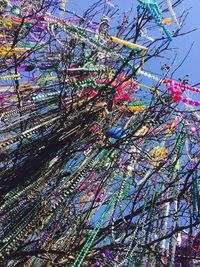 Low angle view of flowering tree against sky