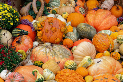 Full frame shot of pumpkins for sale