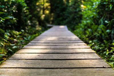 Surface level of wooden footbridge along trees