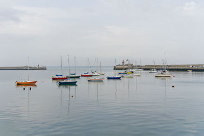 Boats in harbor