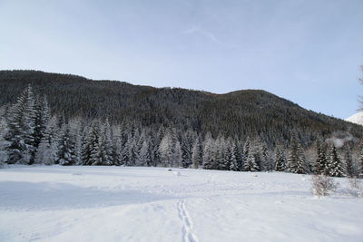 Scenic view of snow covered mountain against sky