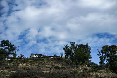 Trees on field against sky