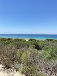 Scenic view of sea against clear sky