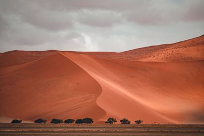 Scenic view of desert against sky