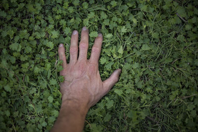 Cropped image of hand against plants