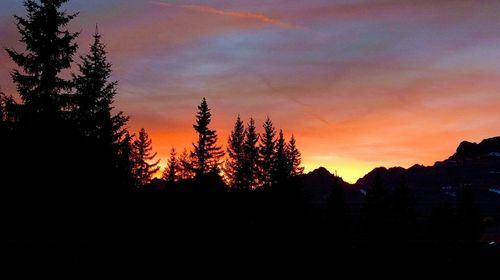 Silhouette trees in forest against sky at sunset