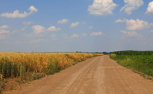 Road amidst agricultural field against sky