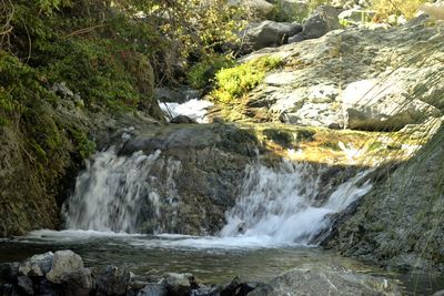 Scenic view of waterfall