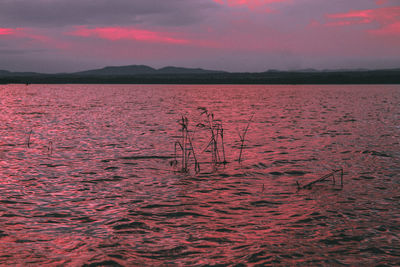 Scenic view of lake against sky during sunset