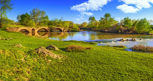 Bridge over lake against trees