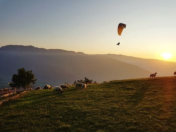 Scenic view of field against sky during sunset