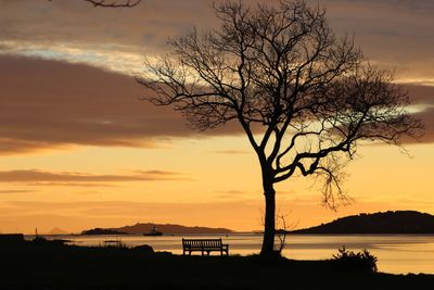 Silhouette of tree and bench against rocky coastline during sunrise