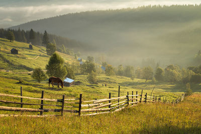 Scenic view of field against sky