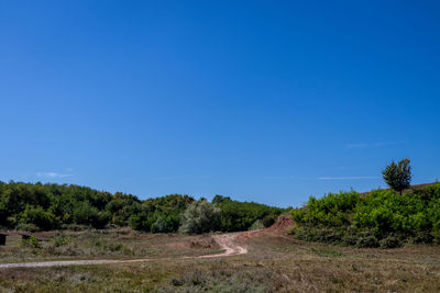 Scenic view of road amidst trees against clear blue sky