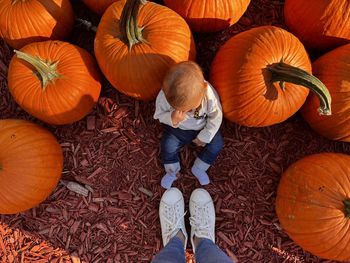 Full frame shot of pumpkins