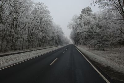 Empty road along trees