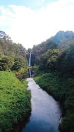 View of river with trees in background