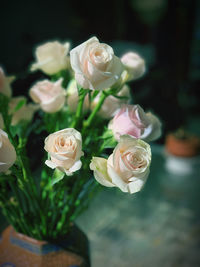Close-up of rose bouquet