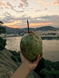 Cropped hand holding coconut against sky during sunset