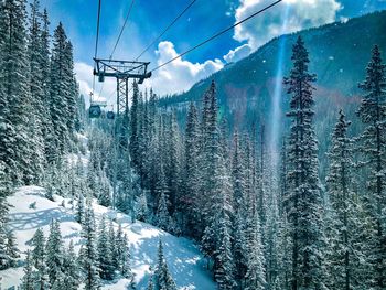 Snow covered land and trees against sky