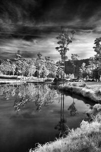 Scenic view of lake by trees against sky