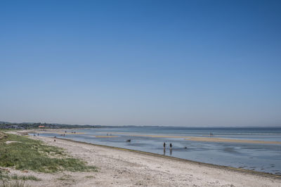 Scenic view of beach against clear blue sky