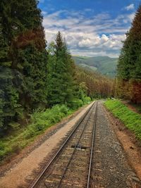 Railroad track amidst trees against sky