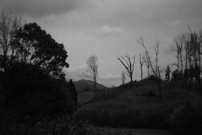 Trees on field against cloudy sky