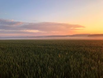 Scenic view of field against sky during sunset