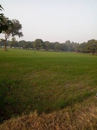 Scenic view of field against clear sky