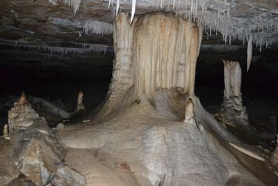 Wooden structure on tree trunk