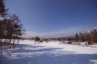 Trees on snow covered field against sky