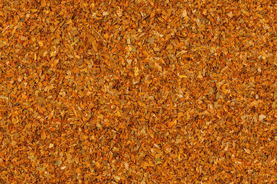 Seamless flat texture of dry tobacco shag isolated on white background