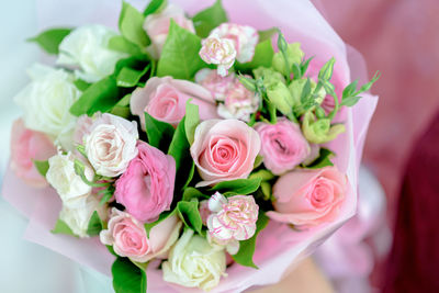 Close-up high angle view of flowers