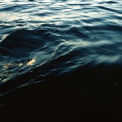 Full frame shot of rippled water