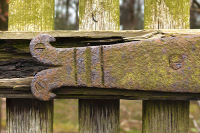 Close-up of rusty metal fence in park