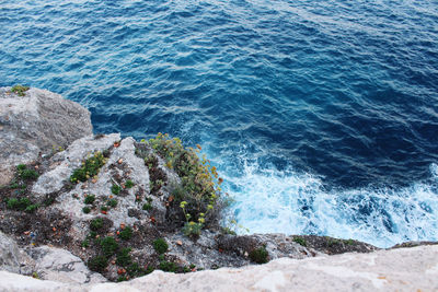 High angle view of rocks on beach
