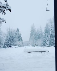 Snow covered trees on field against clear sky