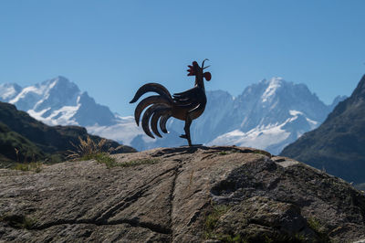 Metallic rooster sculpture on rock against mountain