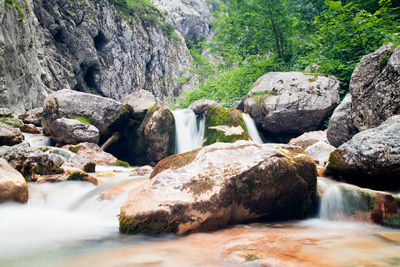 Scenic view of waterfall in forest