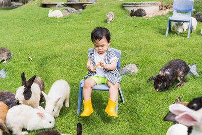 High angle view of boy playing with puppies on grassy field