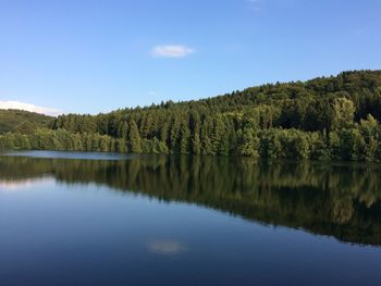 Scenic view of lake in forest against blue sky