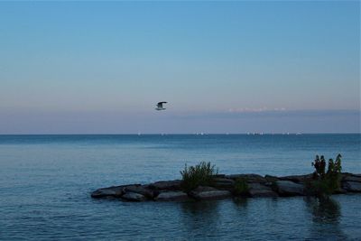 Scenic view of sea against clear sky