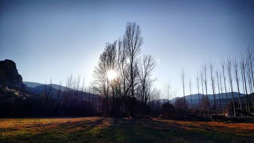 Scenic view of field against clear sky