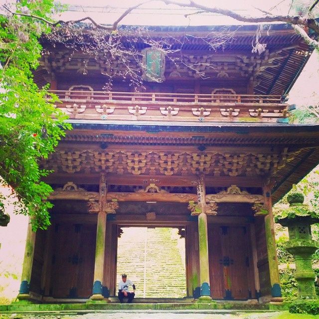 architecture, built structure, building exterior, entrance, tree, facade, arch, door, house, old, history, outdoors, day, plant, religion, place of worship, steps, exterior, gate, low angle view