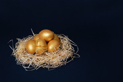 Close-up of bird nest against black background