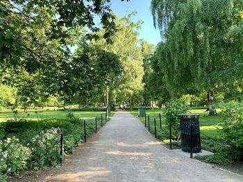 Road amidst trees in park