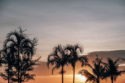 Silhouette palm trees against sky during sunset