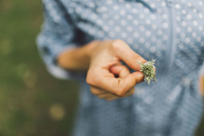 Midsection of woman holding grass while standing at park
