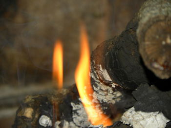 Close-up of bonfire